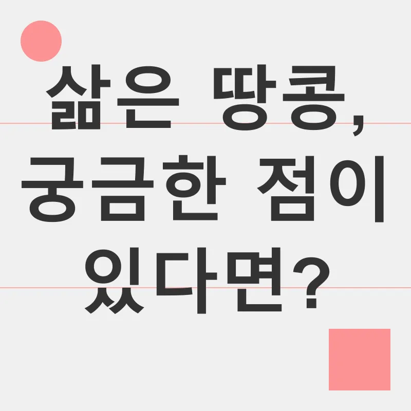 삶은 땅콩_3