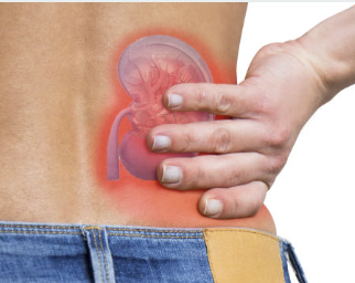 여성의 방광염의 원인