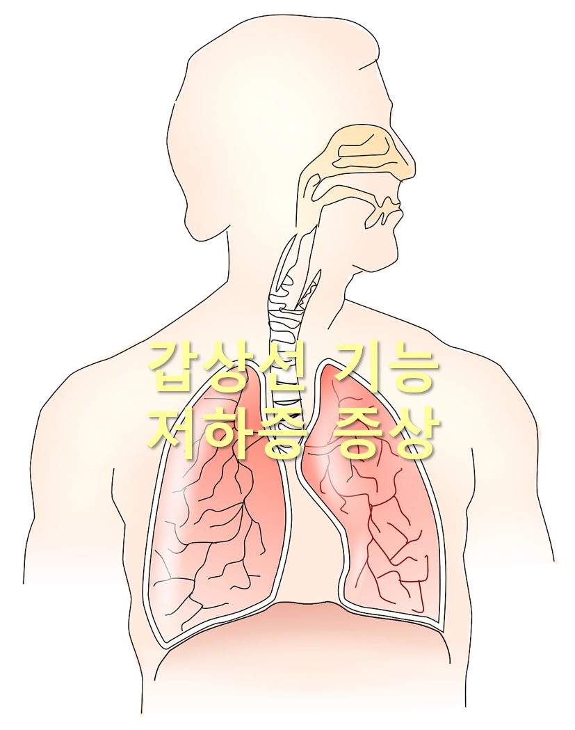  갑상선기능저하증 증상과 다이어트가 필요한 이유