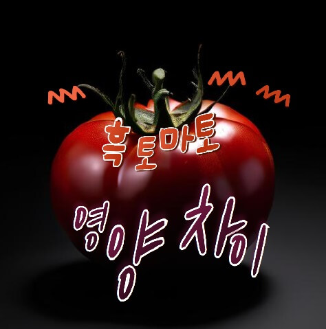 흑토마토 영양과 차이