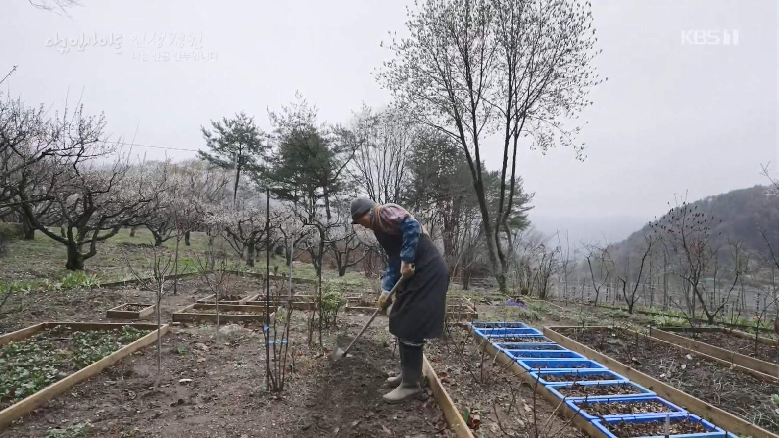 다큐 인사이트.E153.230608p.H264-F1RST.mp4_20230612_204111.289.jpg