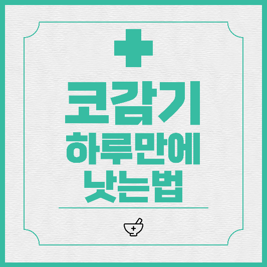  코감기 빨리 낫는법 및 원인, 예방법