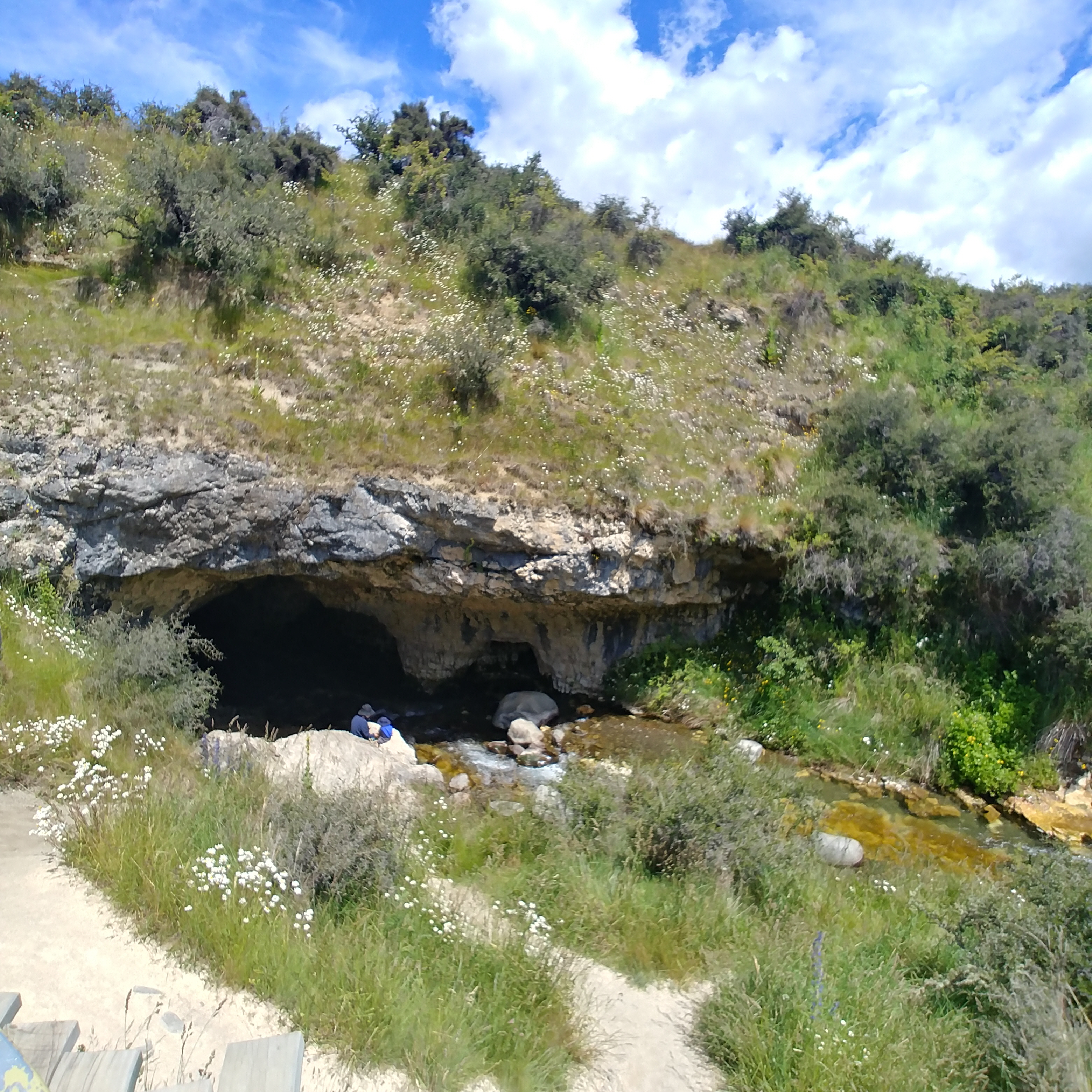 Cave Stream Scenic Reserve