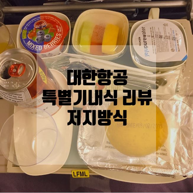  대한항공 특별기내식 저지방식(말레이시아-한국 구간)리뷰!