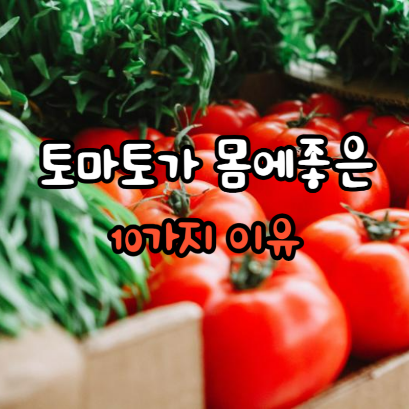 토마토가_몸에_좋은_이유