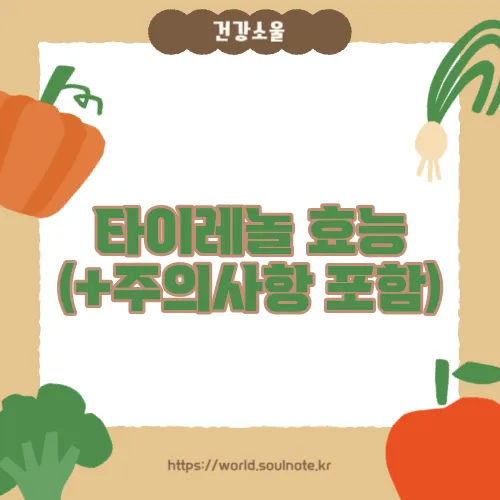 타이레놀 효능 (+주의사항 포함)