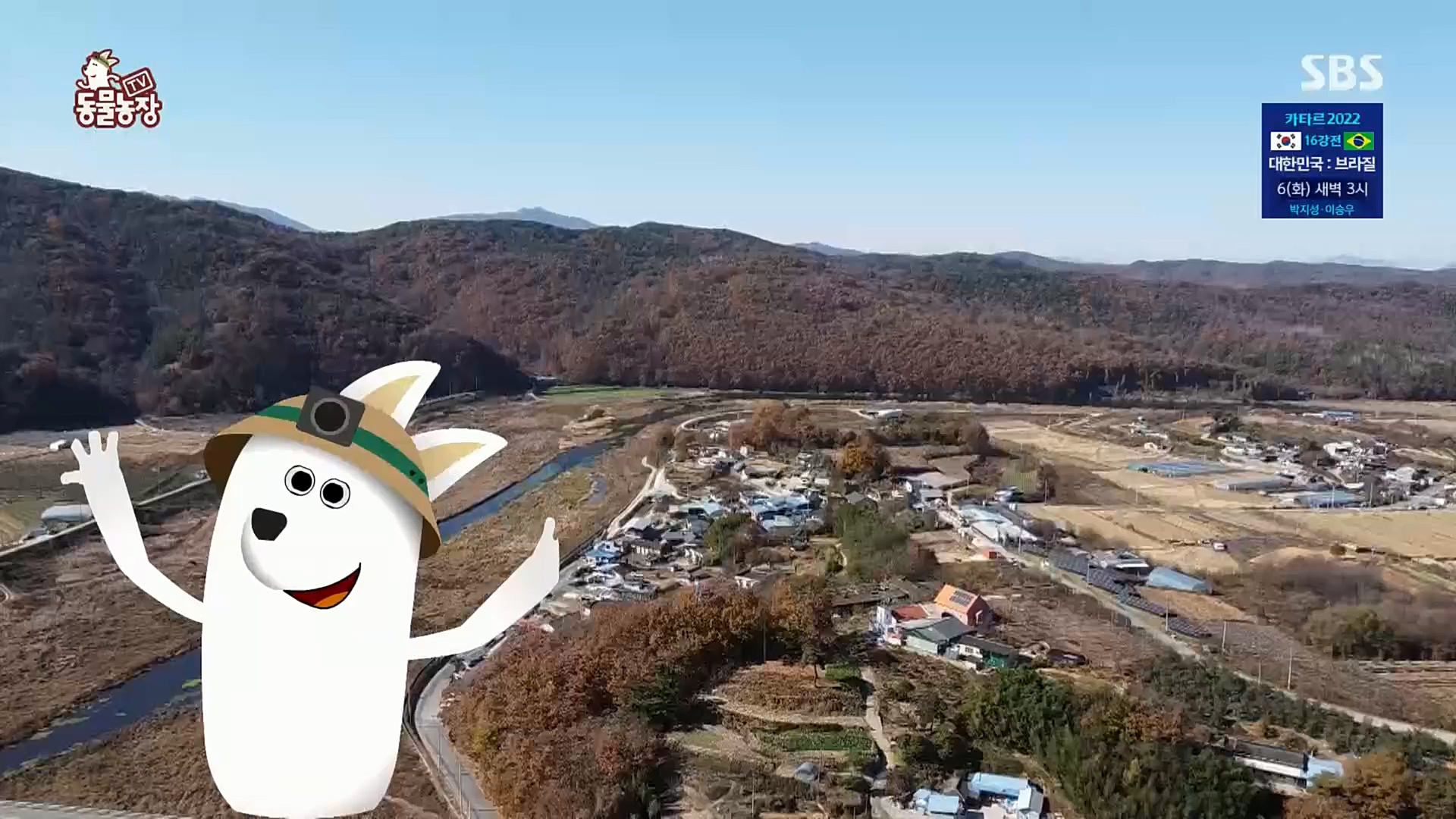 TV 동물농장.E1098.221204p.H264-F1RST.mp4_20221204_175357.728.jpg