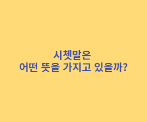 시쳇말의 의미