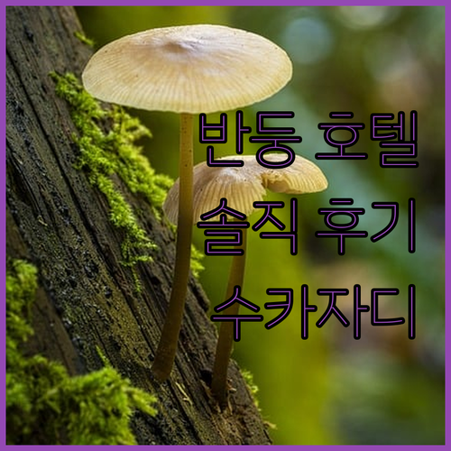 반둥 호텔 추천 수카자디 부티크 호텔