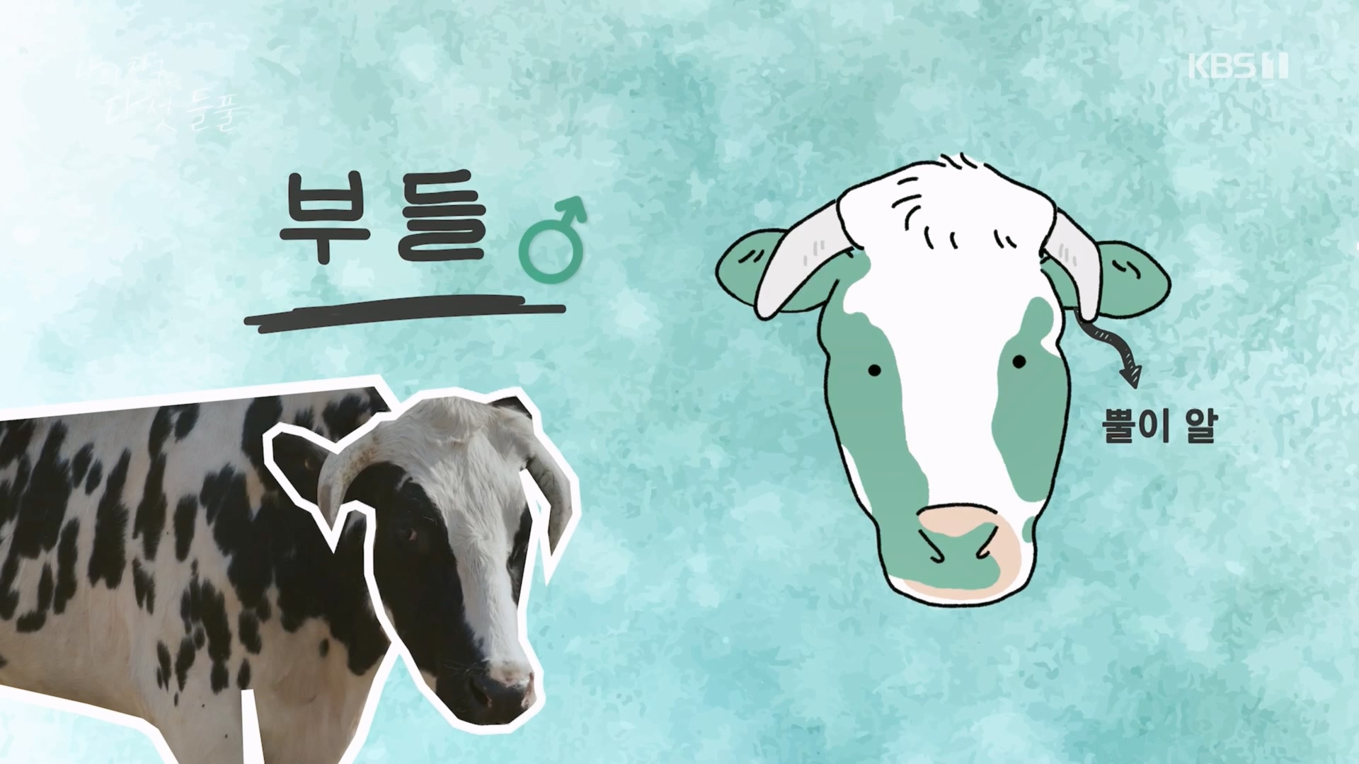 특집 다큐 나의 친구, 다섯 들풀.240119p.H264-F1RST.mp4_20240121_150424.369.jpg