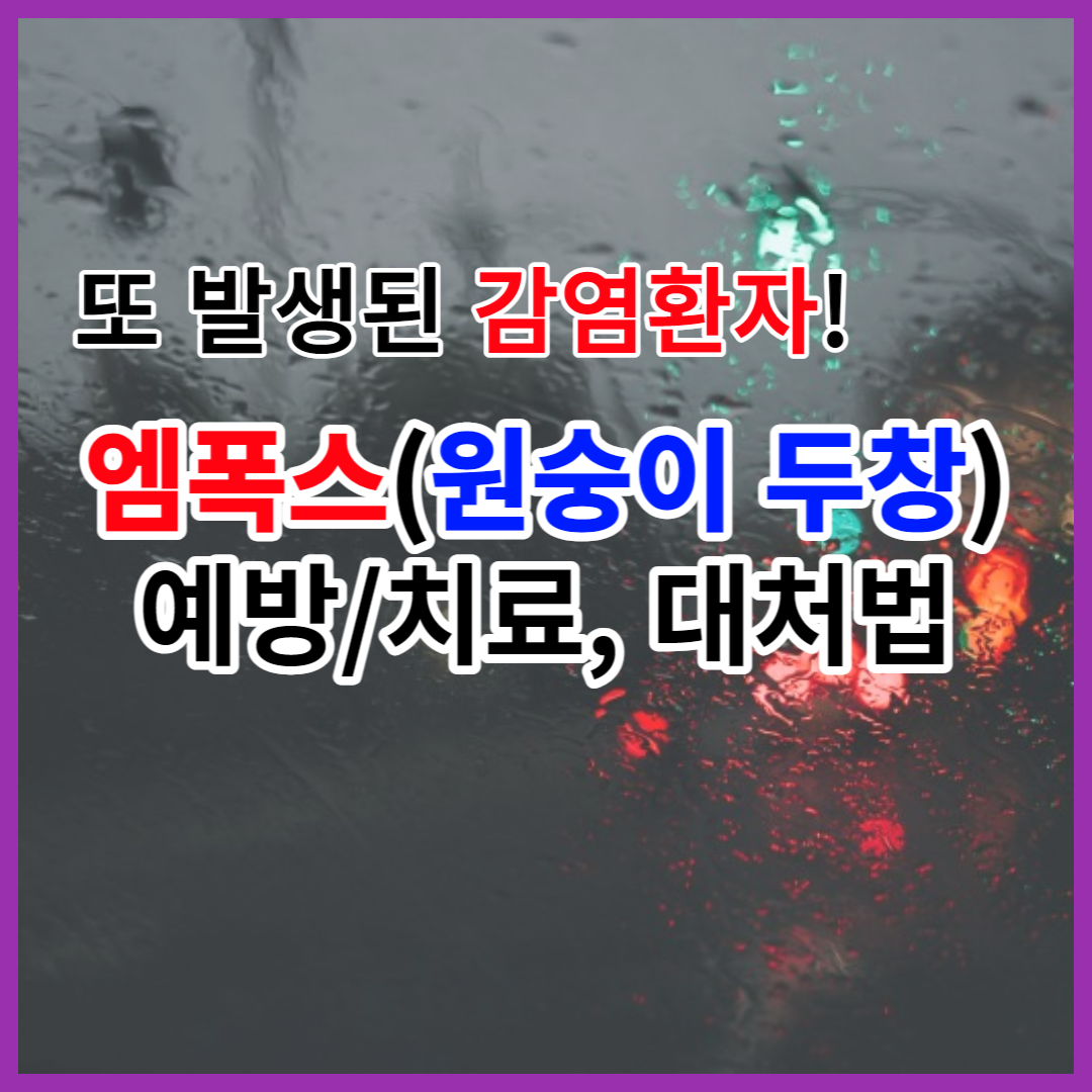  엠폭스(원숭이 두창) 유행, 예방법과 치료법, 어떻게 대처해야 할까?