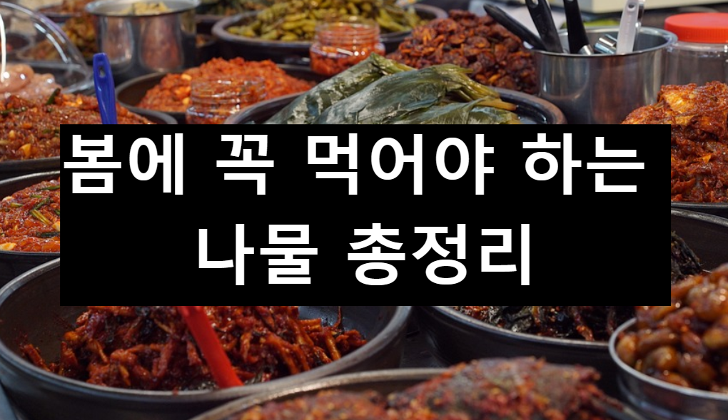  봄에 나는 제철 나물 총 정리