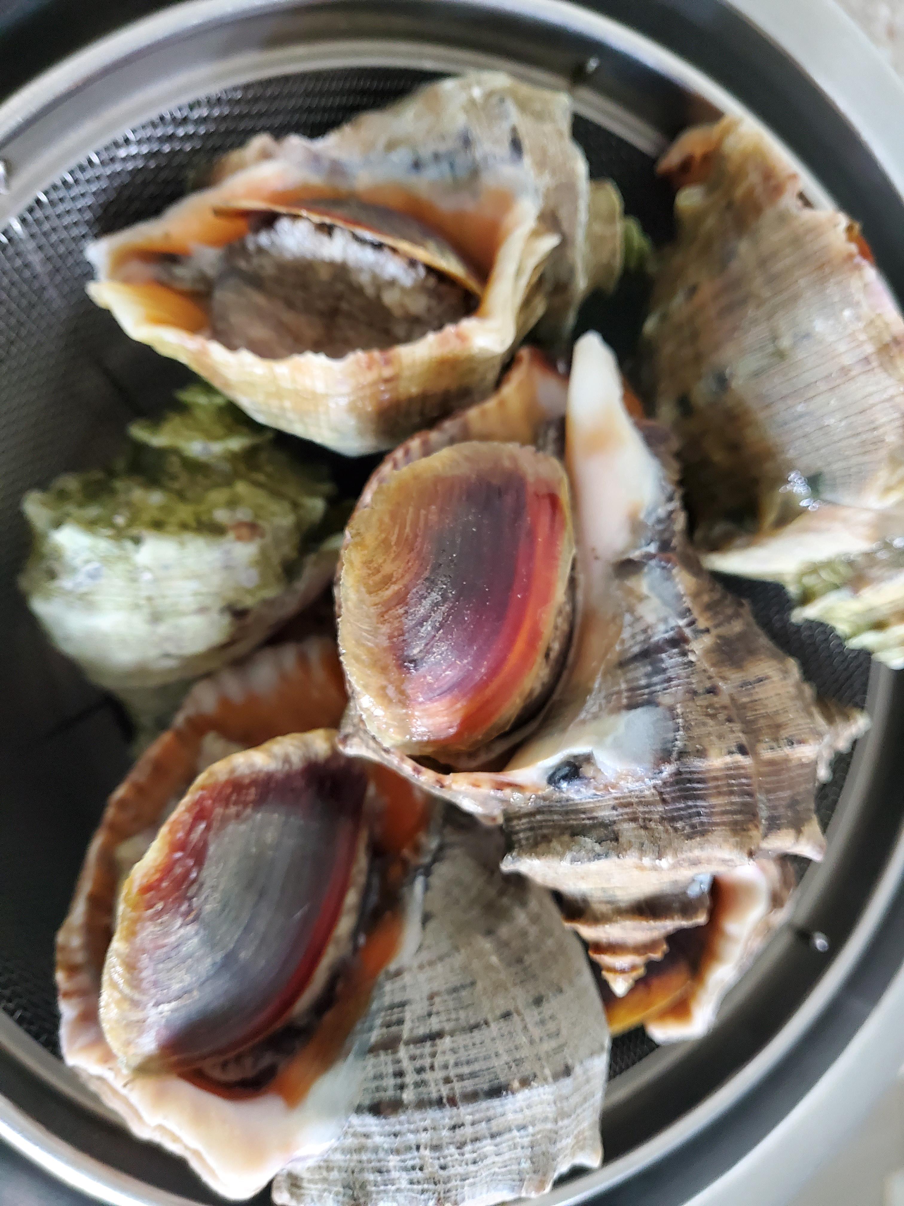 참소라