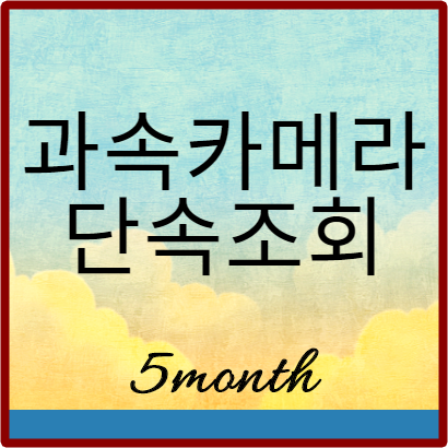  과속카메라 단속조회 확인