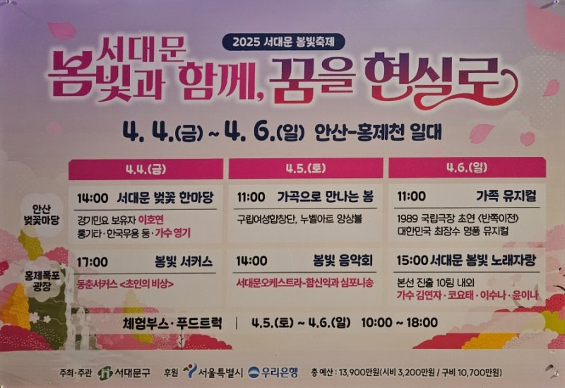 봄빛 이미지
