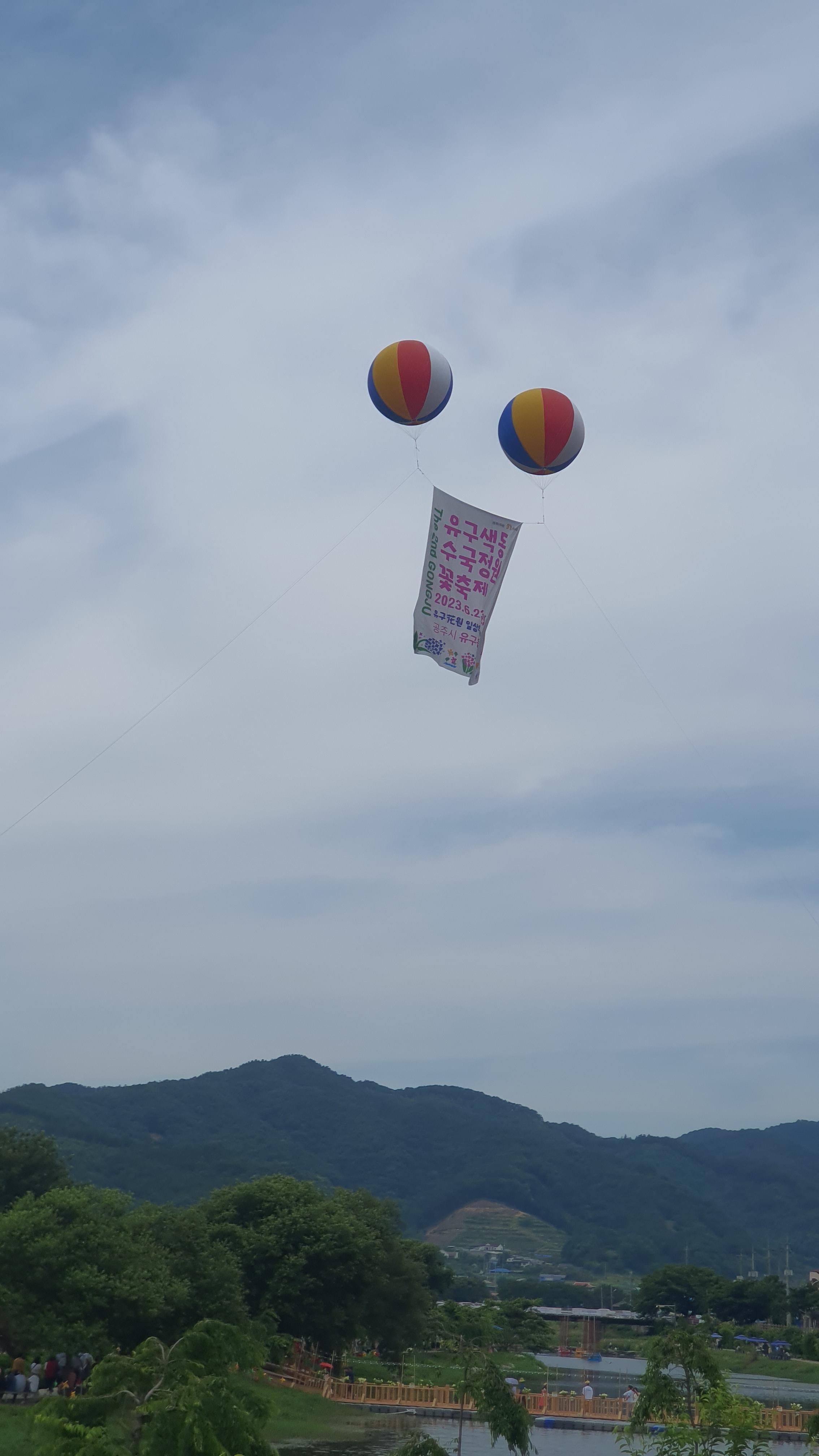 공주 유구 수국축제 주차정보(6월 충남 꽃축제)