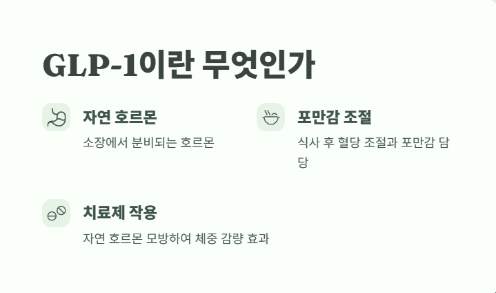 GLP-1 비만 치료제 바로 보기 1