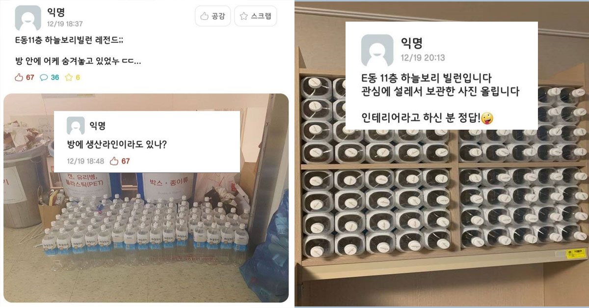  연세대의 하늘보리 빌런 ㅋㅋㅋㅋ