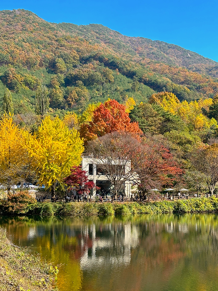 공주-단풍-명소-카페-엔학고레-불장골저수지