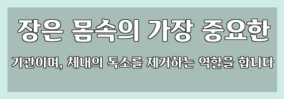  장은 몸속의 가장 중요한 기관이며, 체내의 독소를 제거하는 역할을 합니다