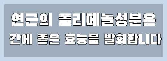  연근의 폴리페놀성분은 간에 좋은 효능을 발휘합니다