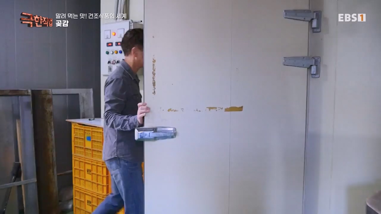 TV - 전 국민의 평생학교 EBS말려 먹는 맛! 건조식품의 세계.mp4_20231125_190724.677.jpg