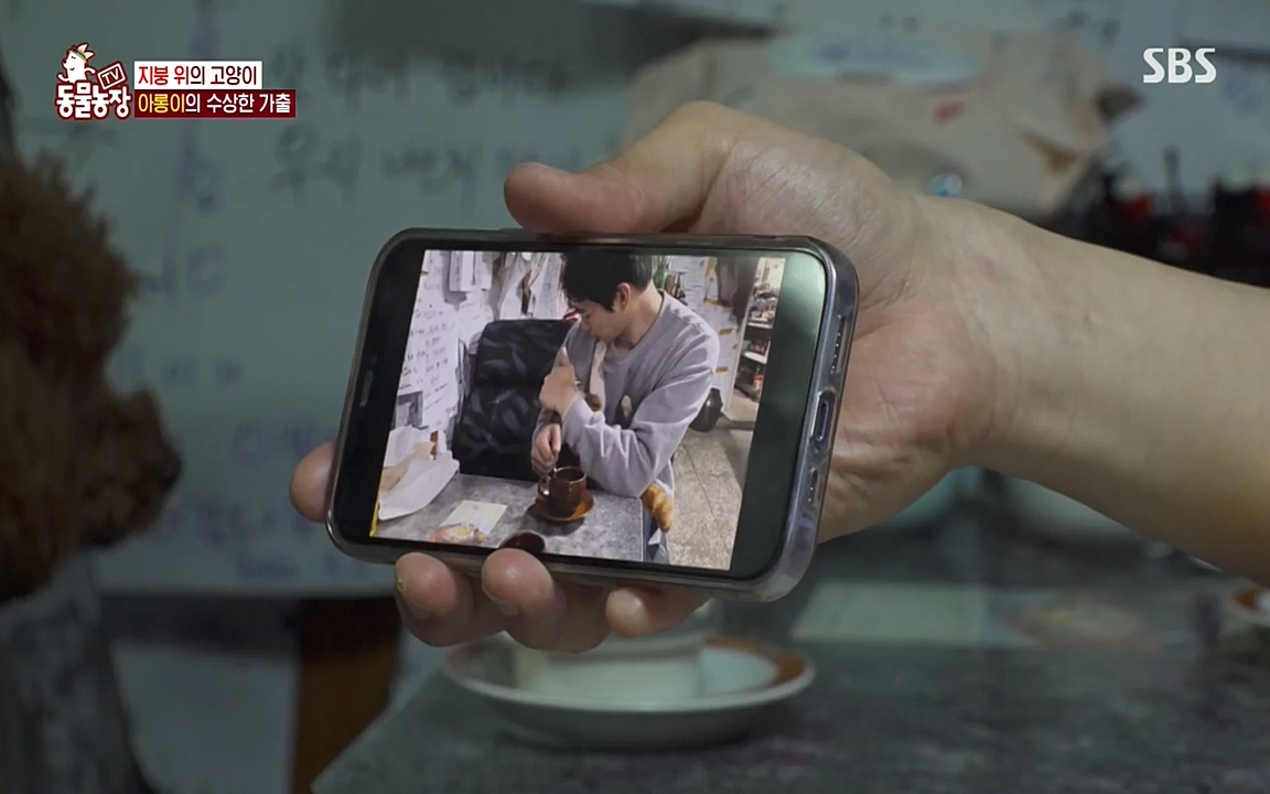 TV 동물농장.E1079.220725p-NEXT.mp4_20220724_151931.618.jpg