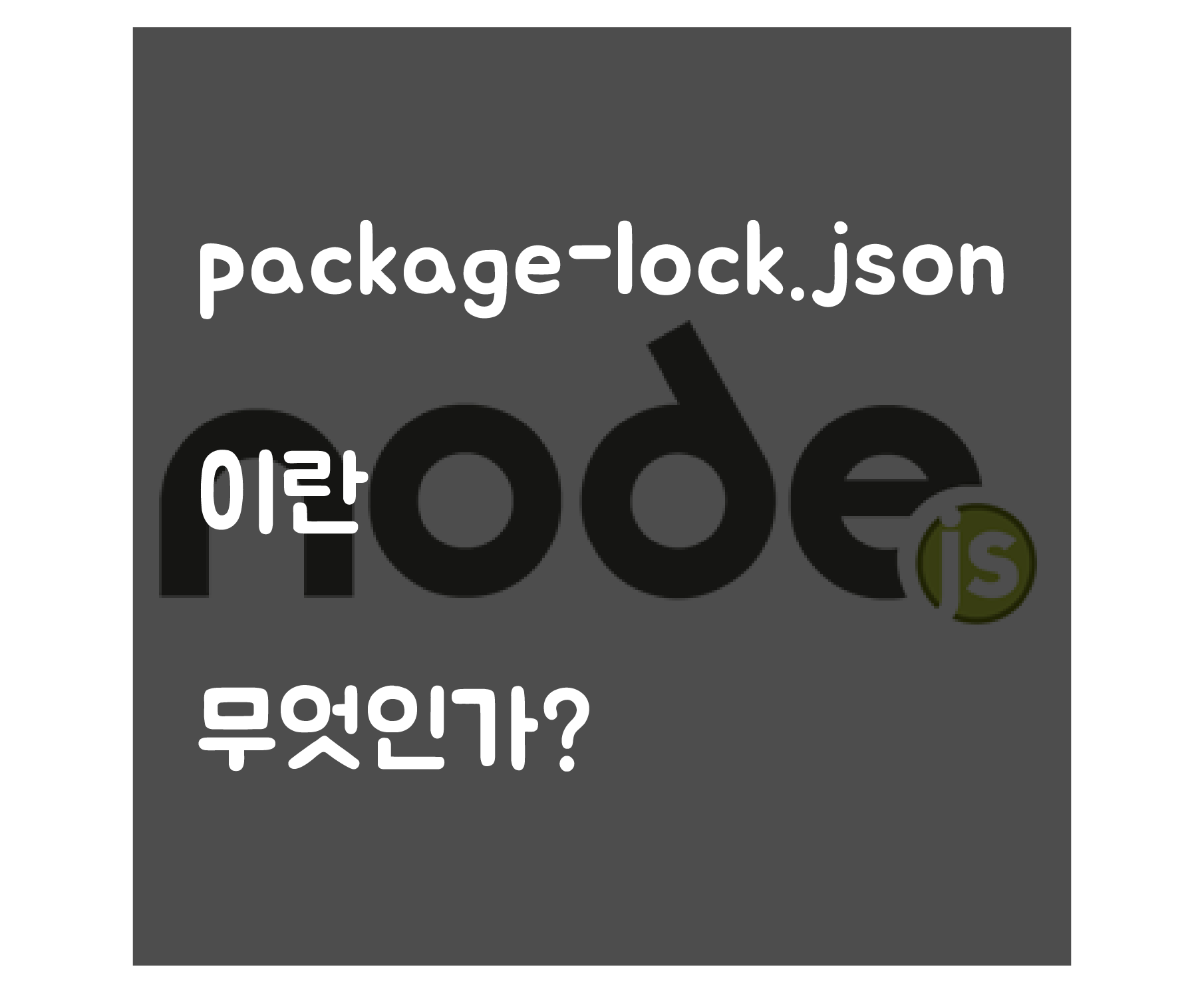  package-lock.json 파일은 무엇인가?