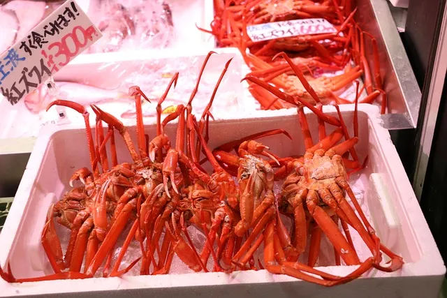 가락동 농수산물시장 홈페이지 바로가기 가락몰_1