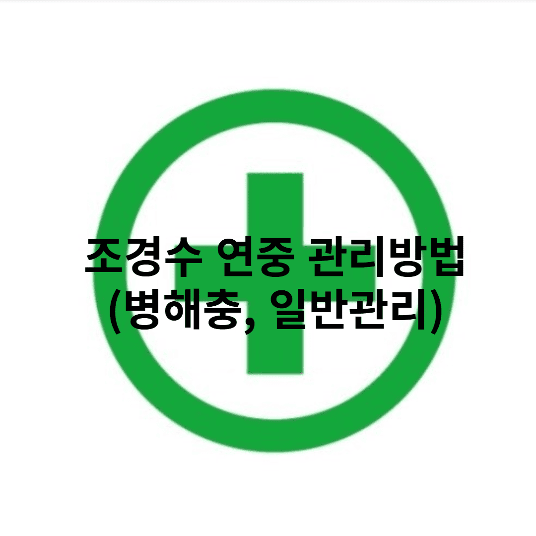 조경수 관리
