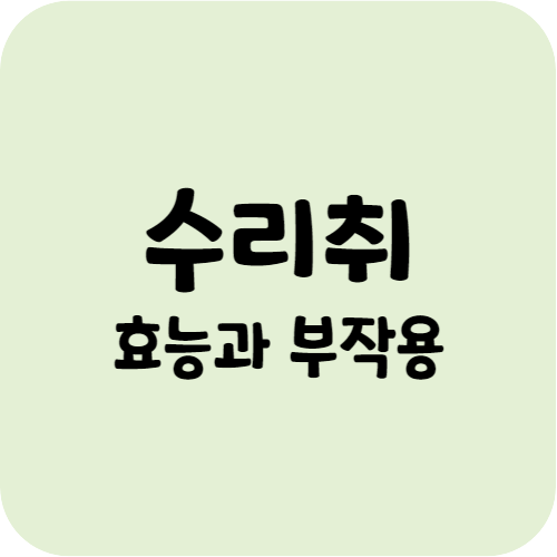 수리취의 효능과 부작용
