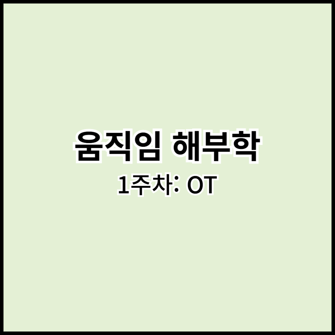 [해부학] 1주차: OT