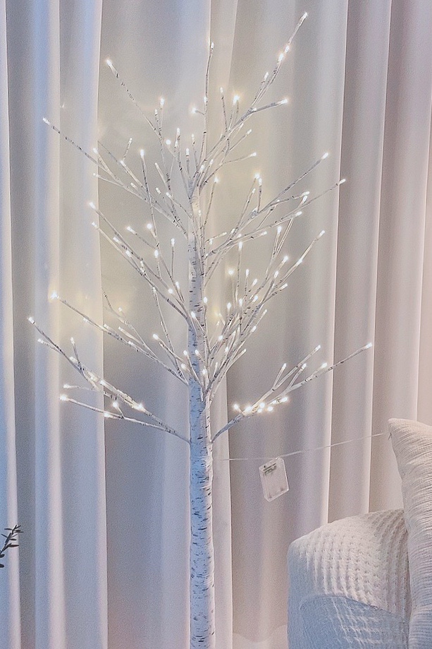 자작나무와 함께 화이트 크리스마스 준비 9