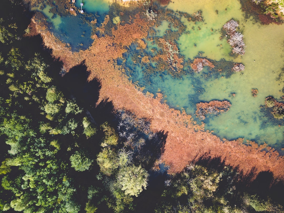 Ecosystem.