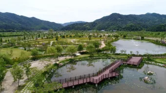 거창 창포원 노랑꽃창포 만개 시기와 관람 포인트_45