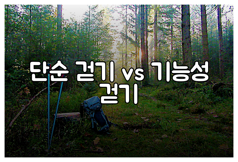 단순 걷기 vs 기능성 걷기