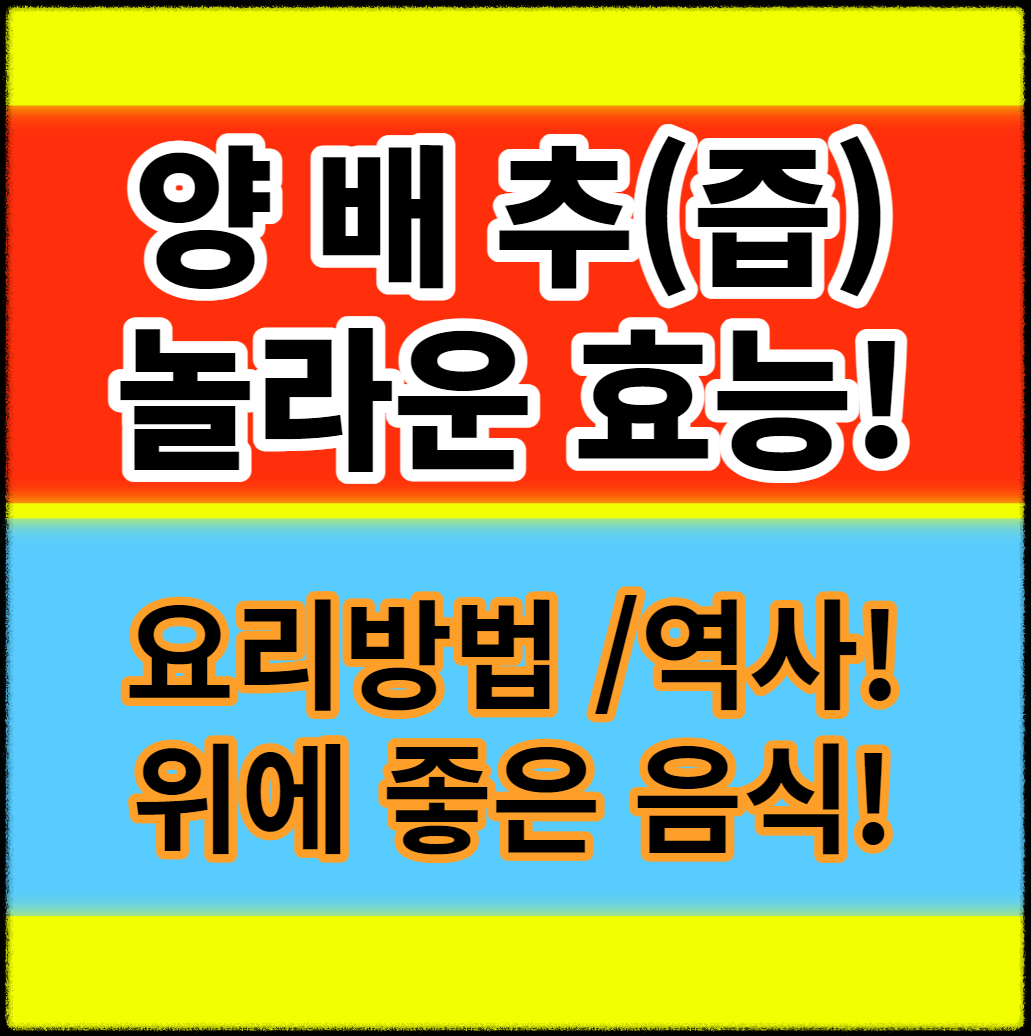  양배추 효능 요리 역사 위에 좋은 음식 즙으로 먹어도 될까?