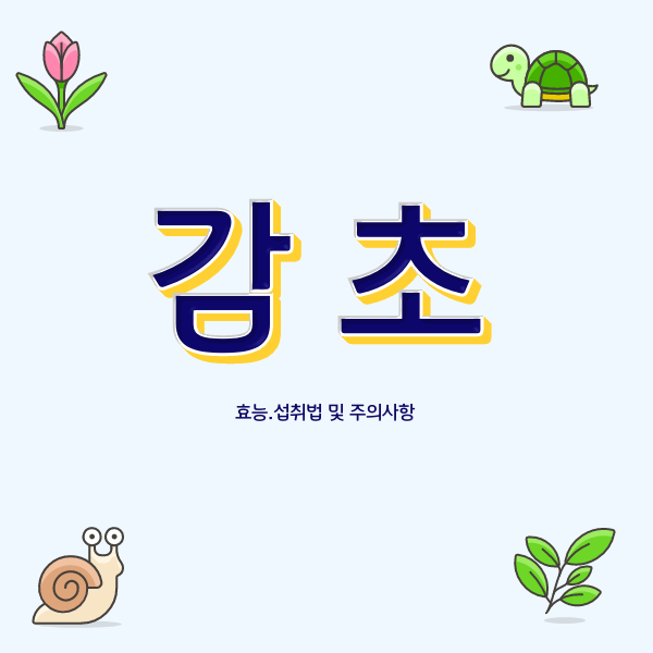  감초의 단맛 뒤에 숨겨진 비밀 감초의 효능과 부작용을 체크하고 올바르게 섭취하는 방법