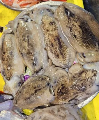 갑오징어 손질법 제철 맛있게 먹는 방법_7