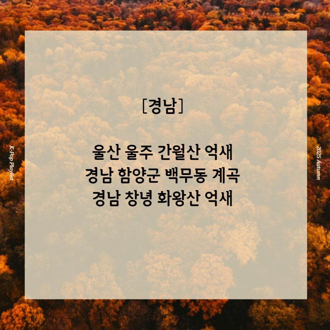 11월 단풍구경 가볼만한 곳