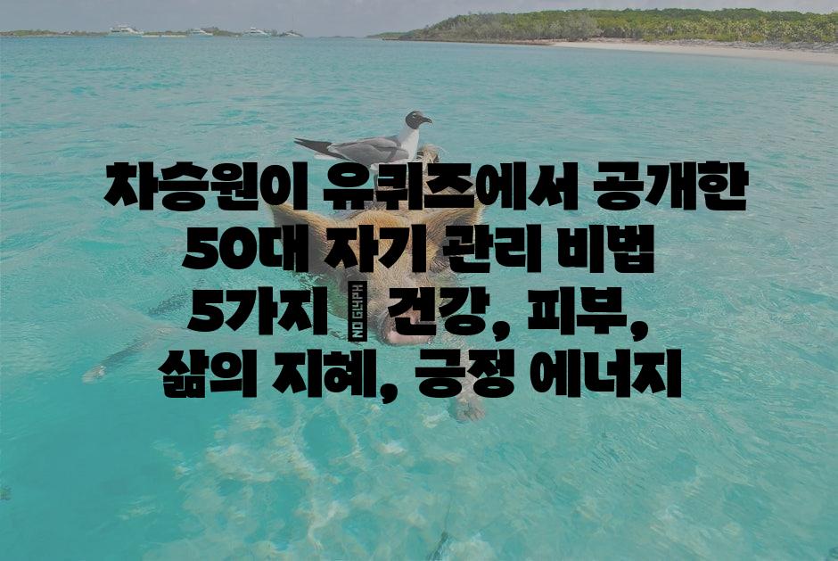 샘플 (1)