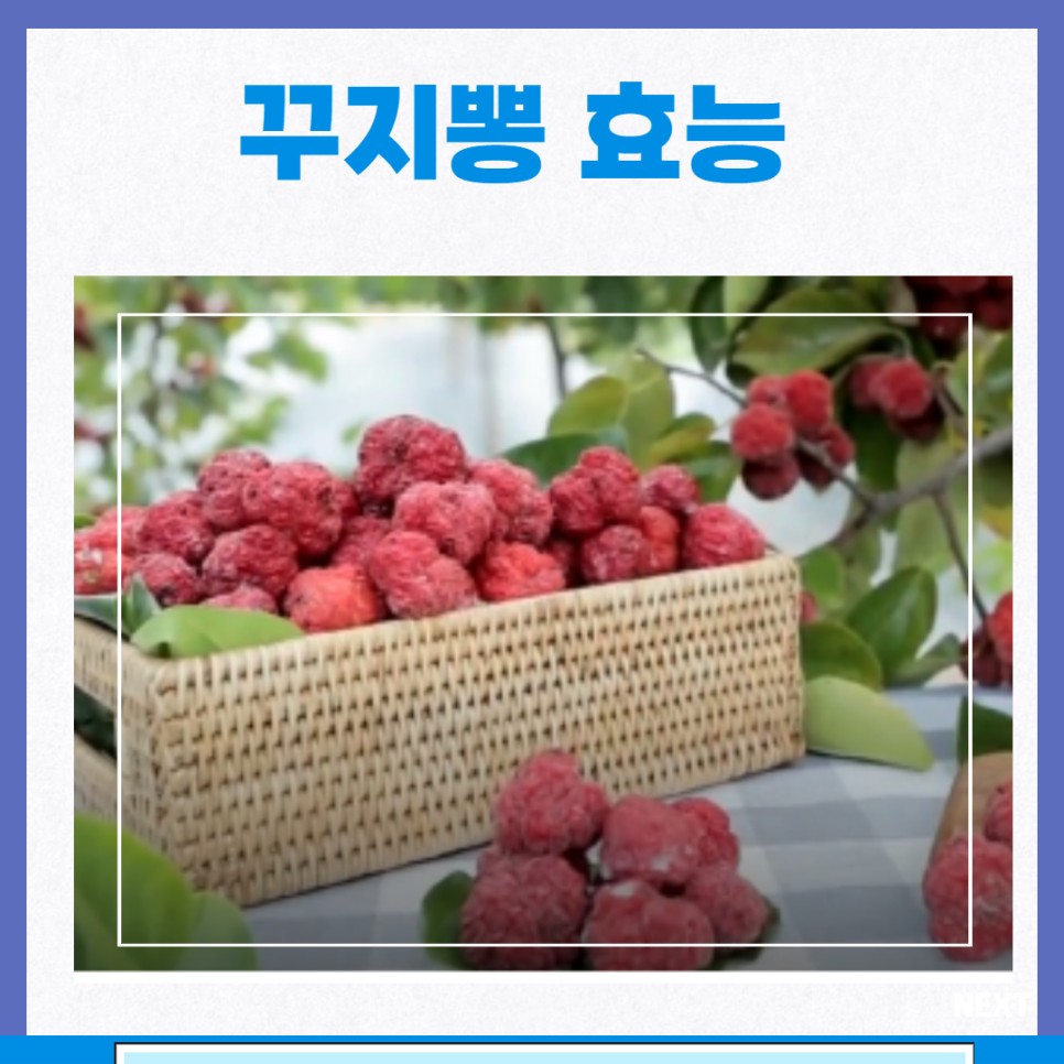 구지뽕의 효능과 부작용을 알아보고 구지뽕 열매, 가지, 뿌리잎의 다양한 구지뽕 먹는 방법, 가격은? 7
