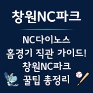 창원NC파크 직관 가이드
