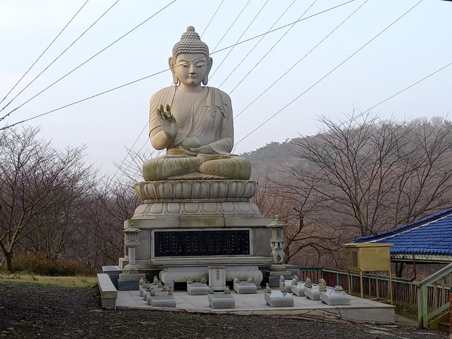 img.jpg
