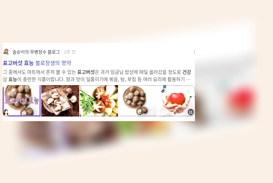 표고버섯 건강 효능_3_subsection