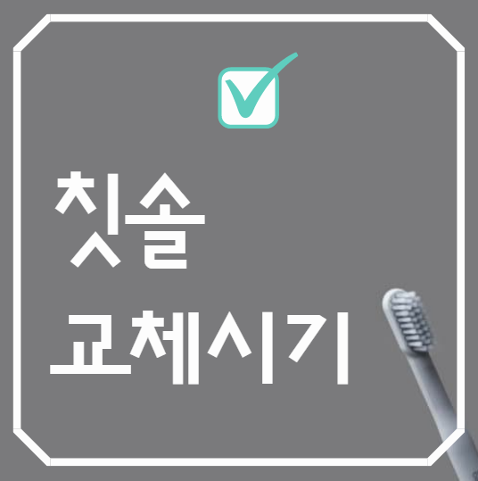  칫솔 교체시기
