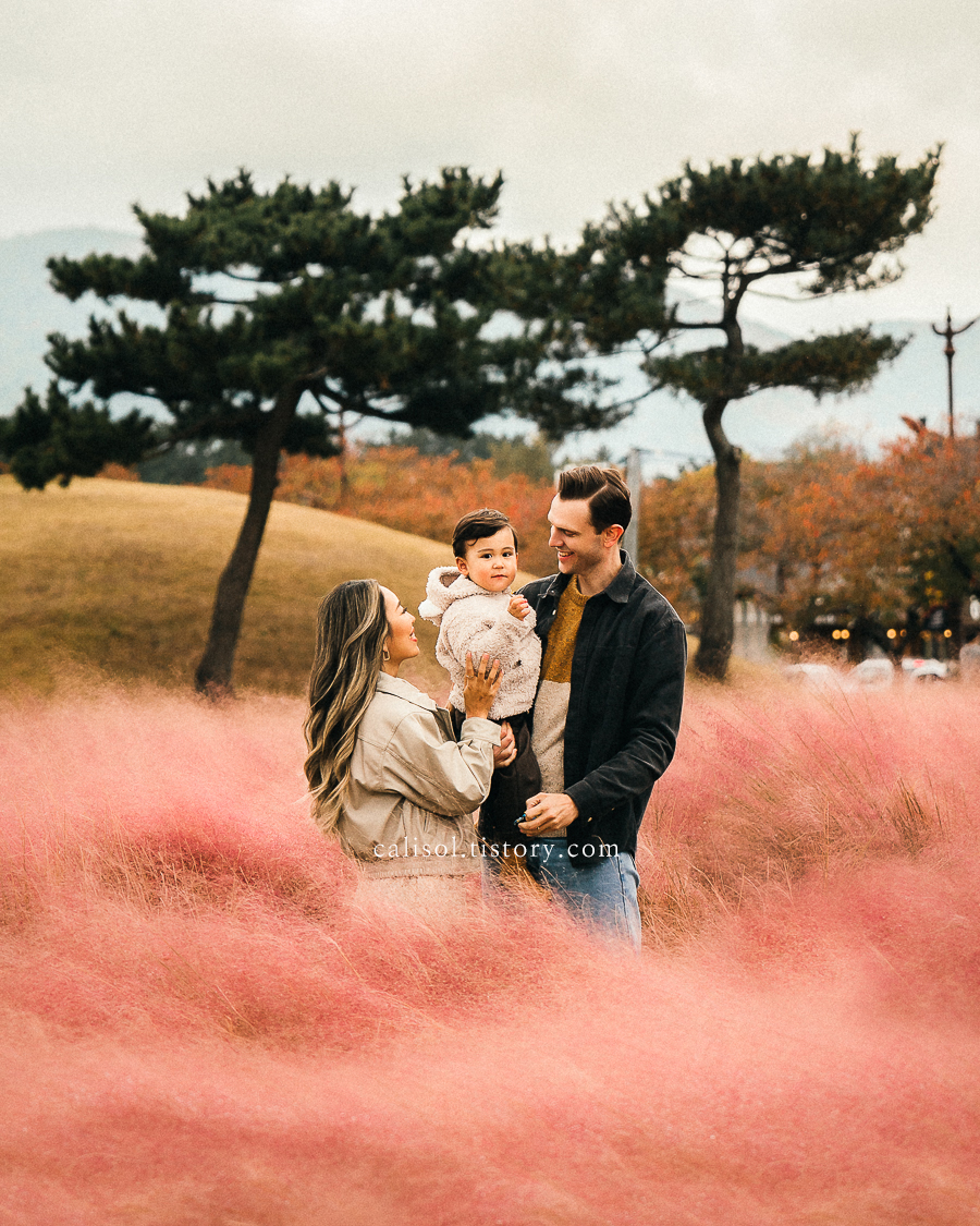 가을 경주 가족여행 사진 첨성대 핑크뮬리