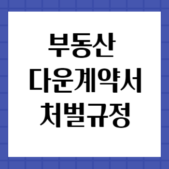 다운계약서-처벌규정