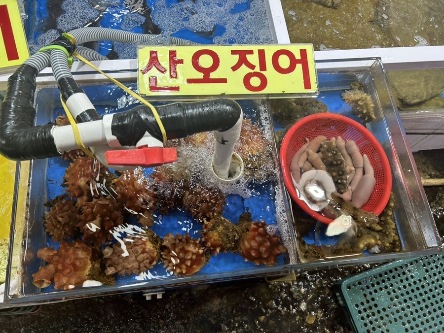 은성수산 이미지