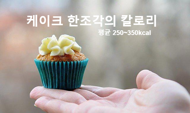  케이크 한조각의 칼로리